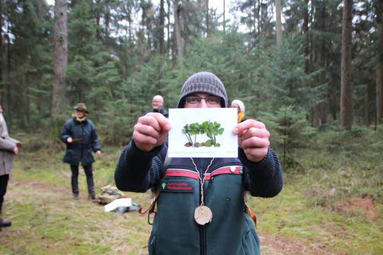 Waldbaden - Eine Waldpostkarte bekleben